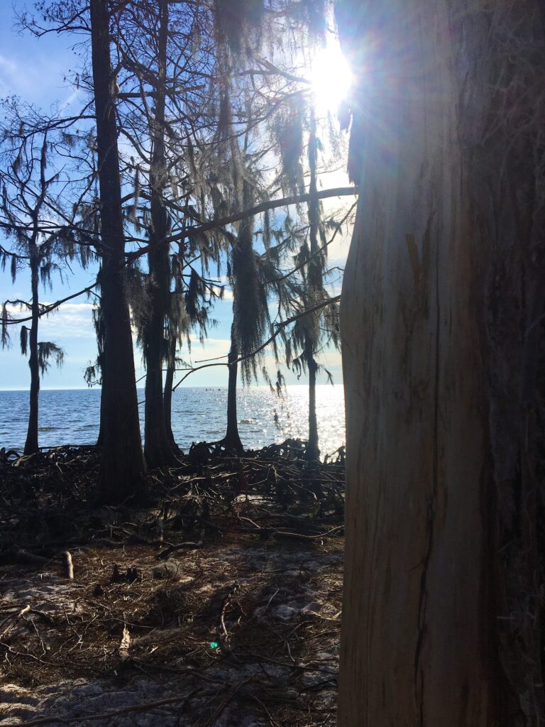 Fontainebleau State Park in Louisiana