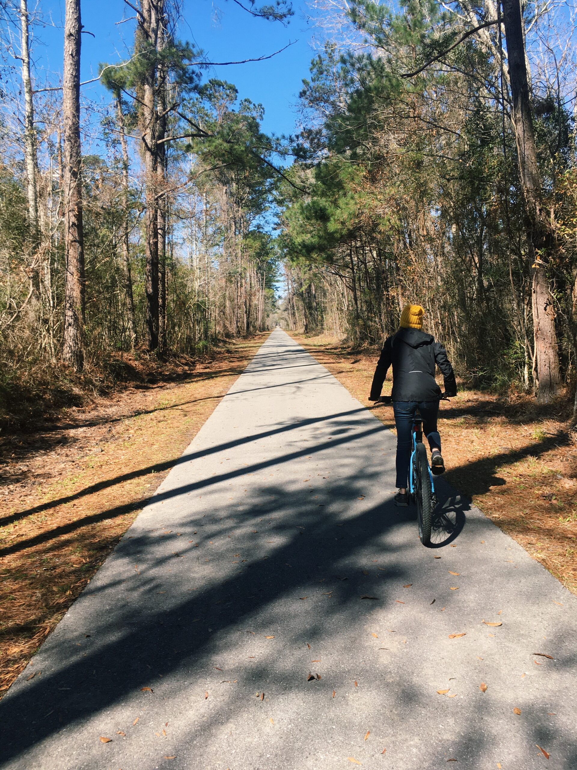 Fontainebleau State Park in Louisiana