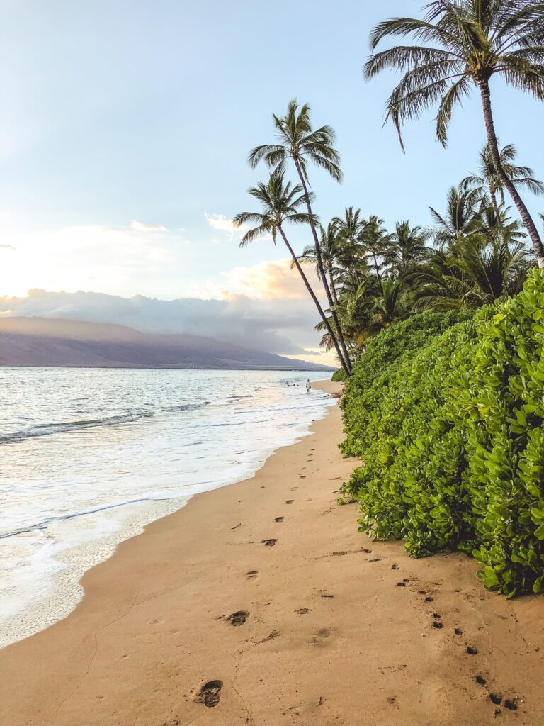 How to Book Maui Flights (for two) for $22.40