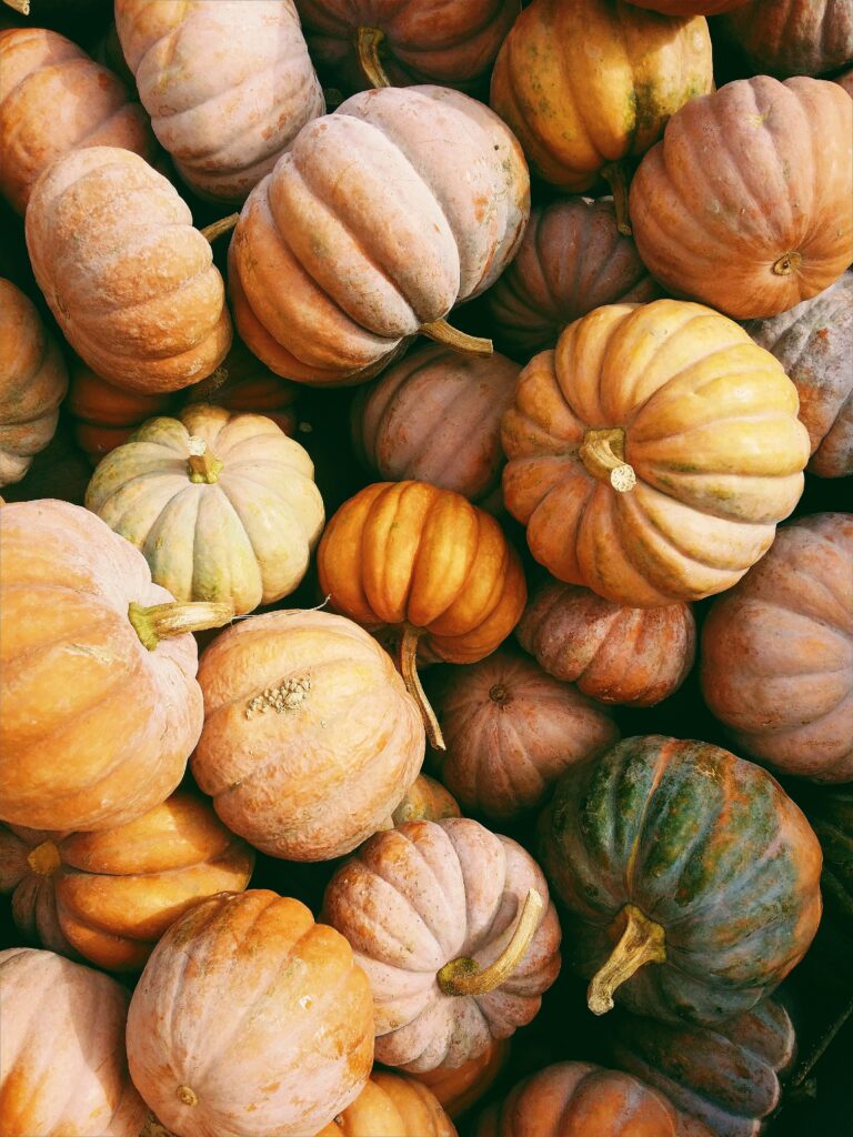 A bunch of pumpkins piled up. 